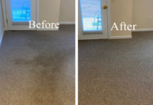 Expert Carpet Cleaning Near Me: How to Find the Best Carpet Cleaner in Sandyford for Your Home