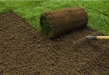 How Does Drain Clearing Service Near Me Improve Water Movement Away From Structures?