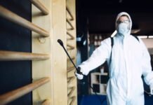 Successful Case Studies in Termite Treatment